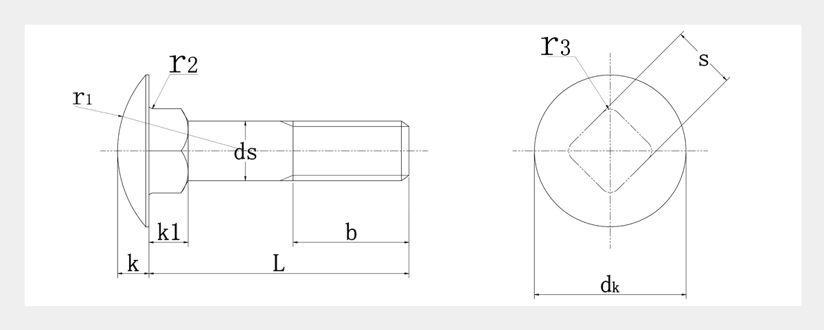 SS Carriage Bolts-DIN 603-2D